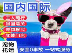 上海浦东机场托运国际宠物托运 【国